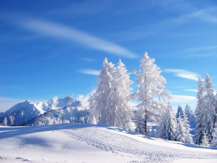 winter, Snow HD Wallpaper Desktop Background