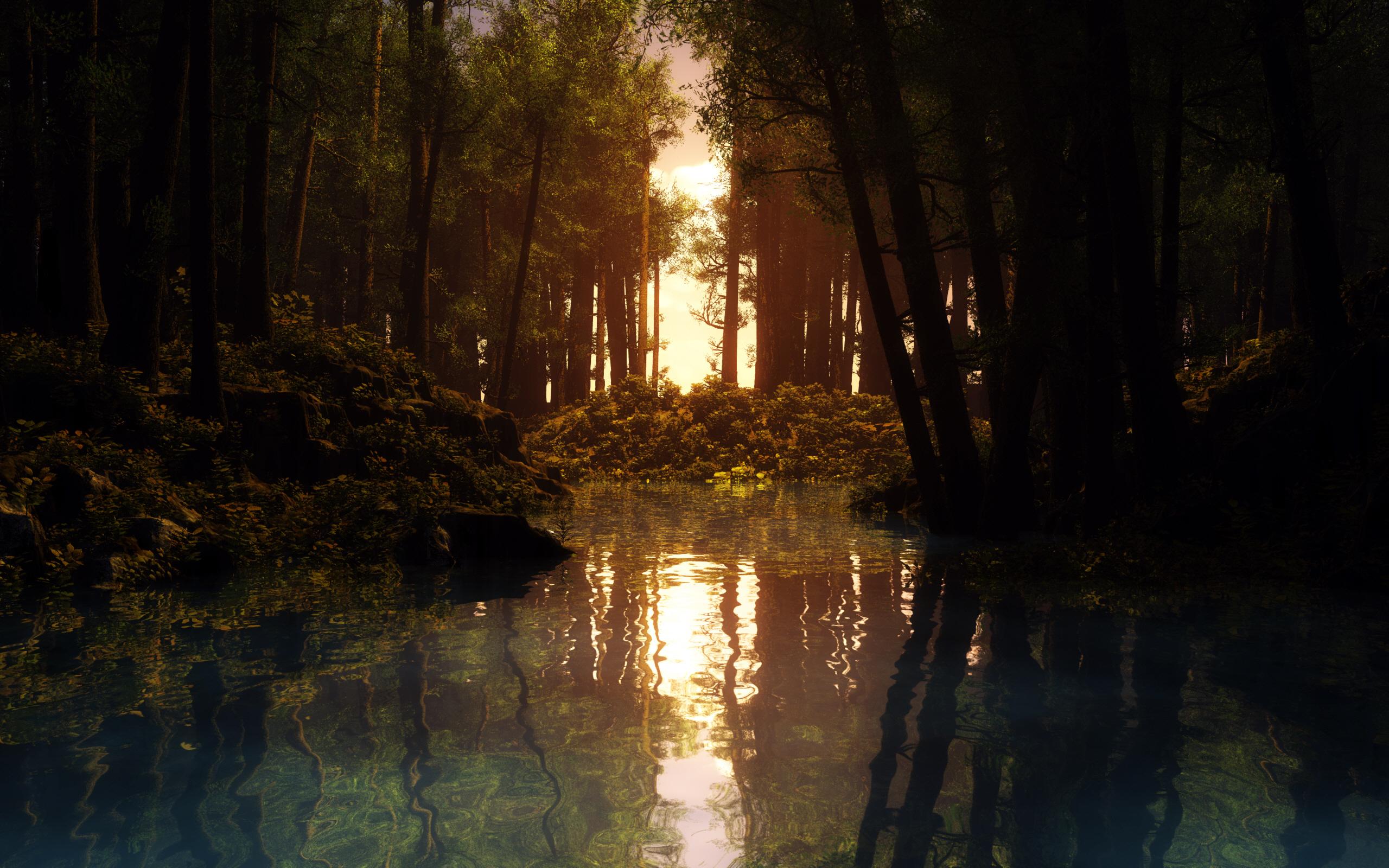 sun, Forest Wallpaper