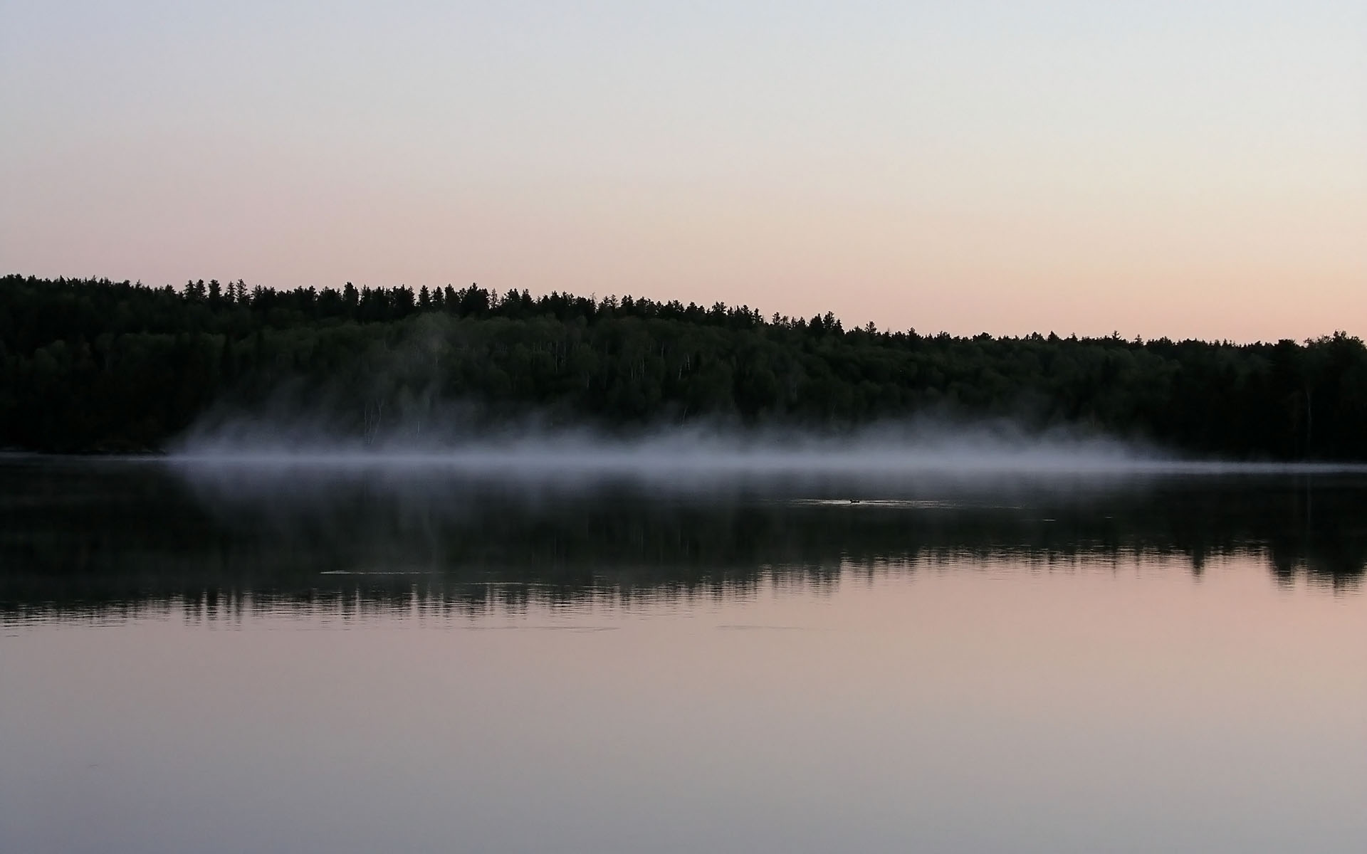 lake, Mist Wallpaper