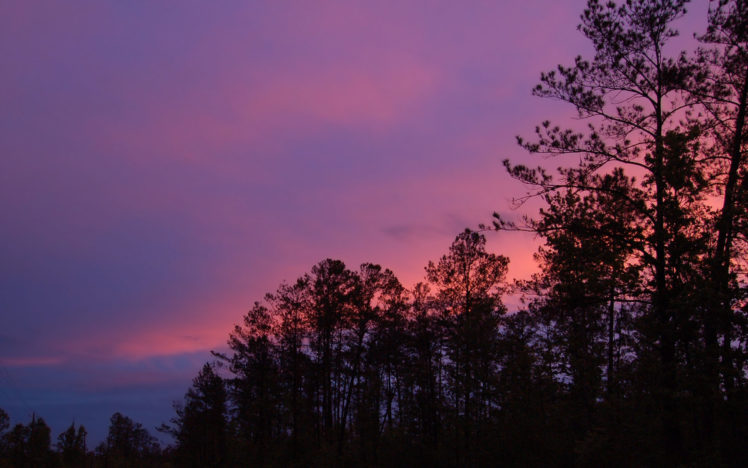 trees, Sunset HD Wallpaper Desktop Background