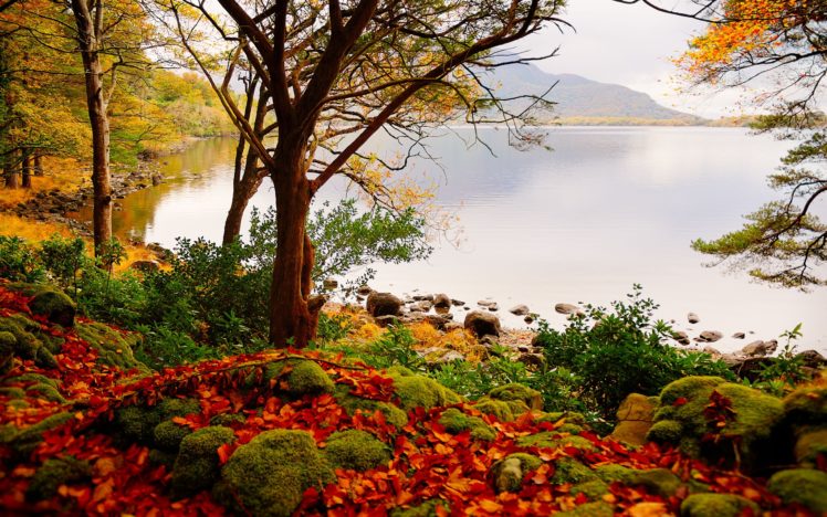 autumn, Lake, Trees, Landscape HD Wallpaper Desktop Background