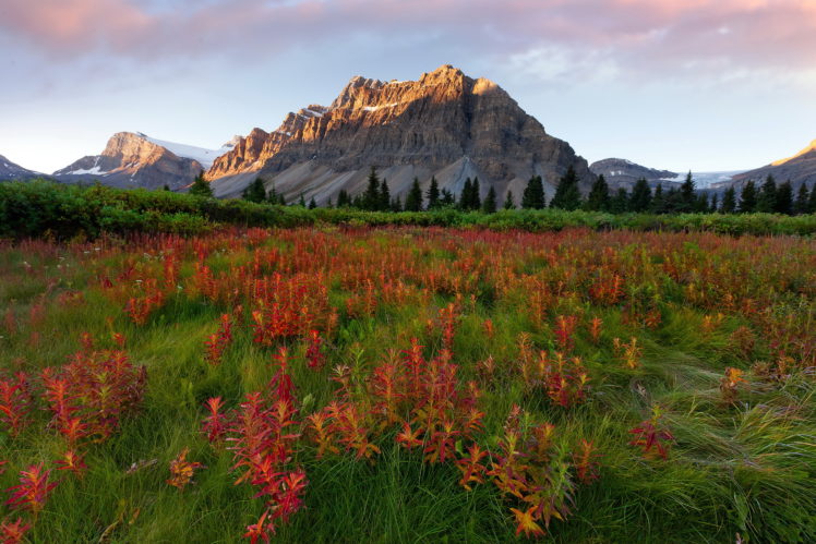 mountains, Scenery, Glacier, Montana, Grass, Nature HD Wallpaper Desktop Background