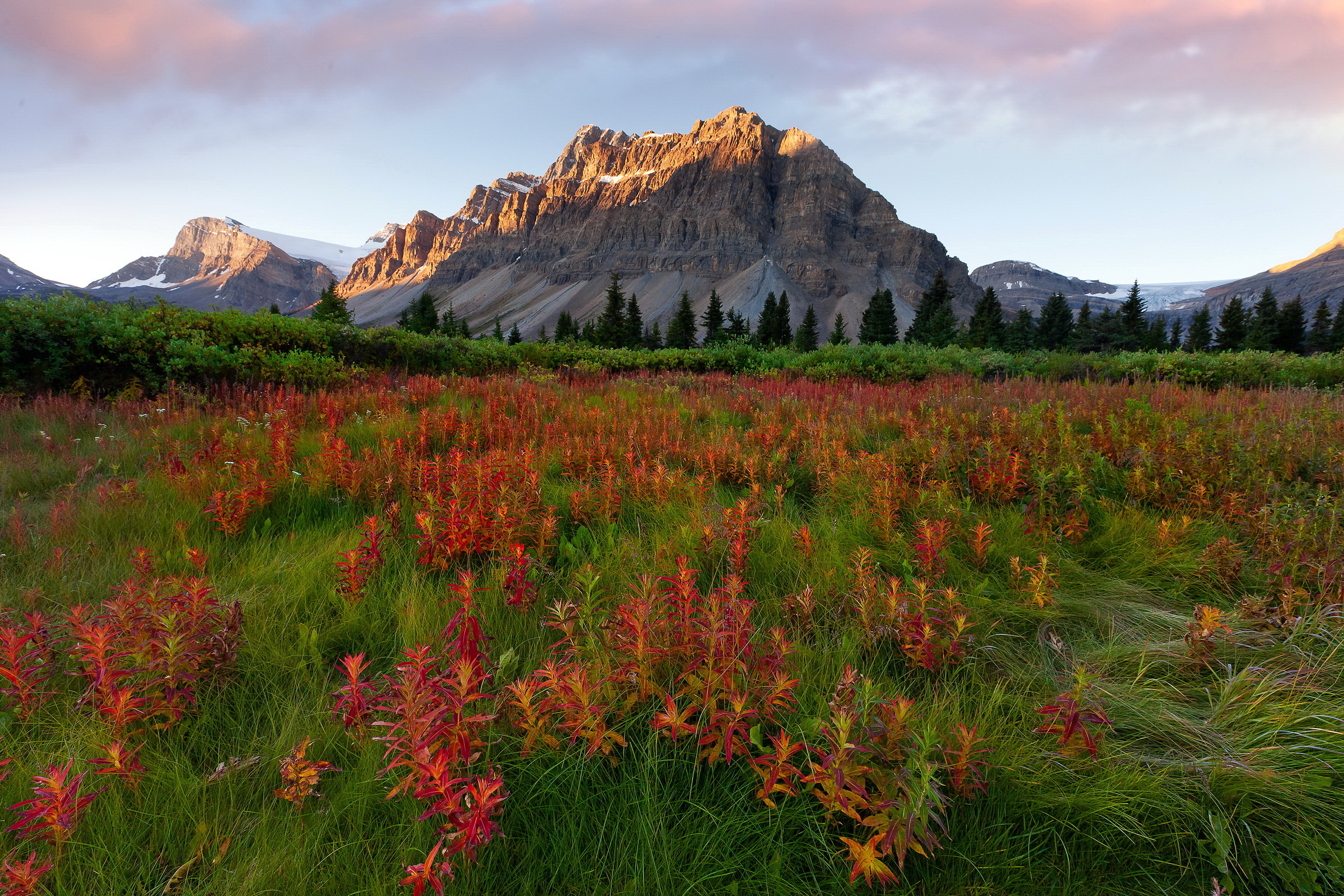 mountains, Scenery, Glacier, Montana, Grass, Nature Wallpaper