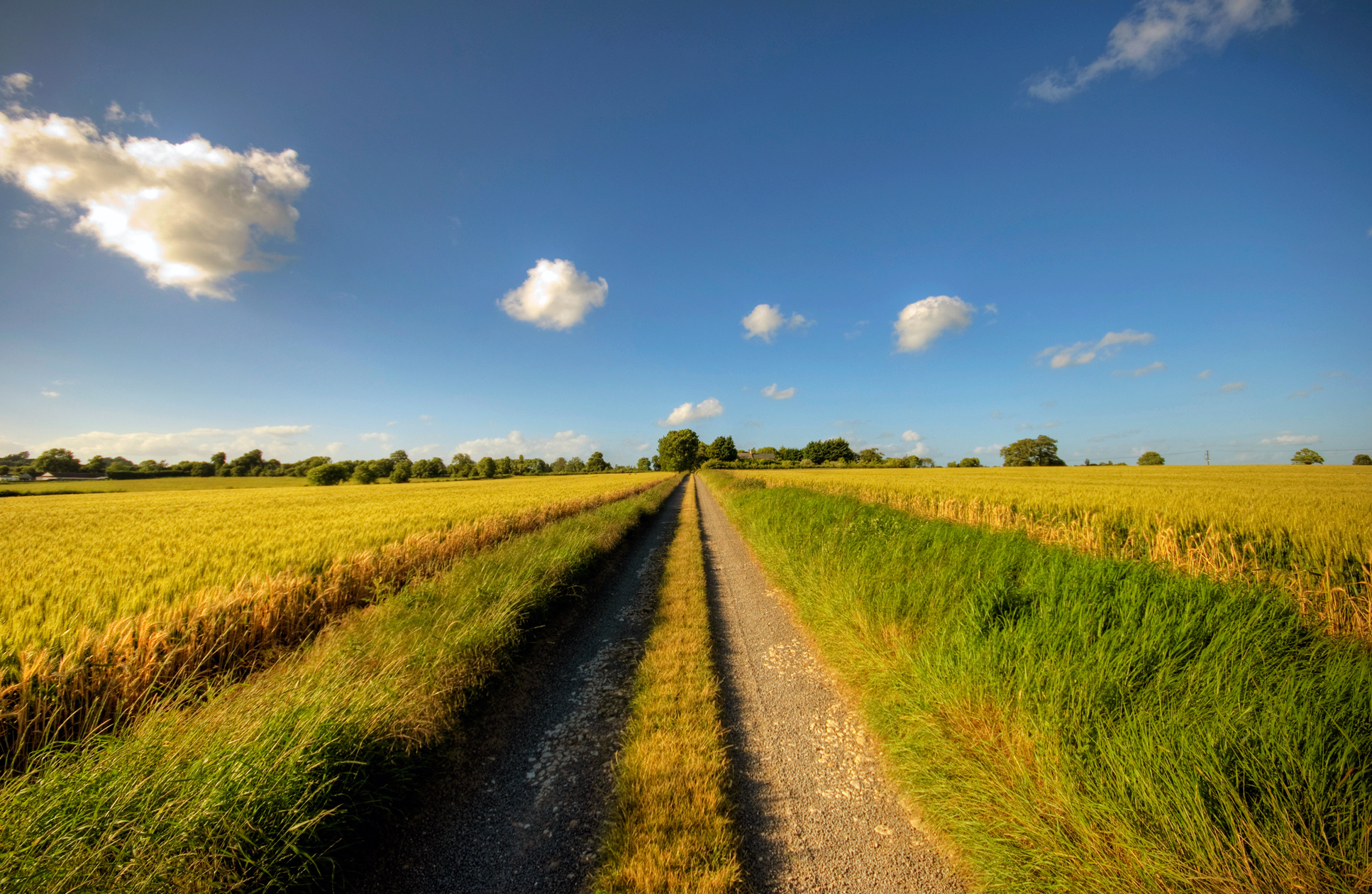 road Wallpaper