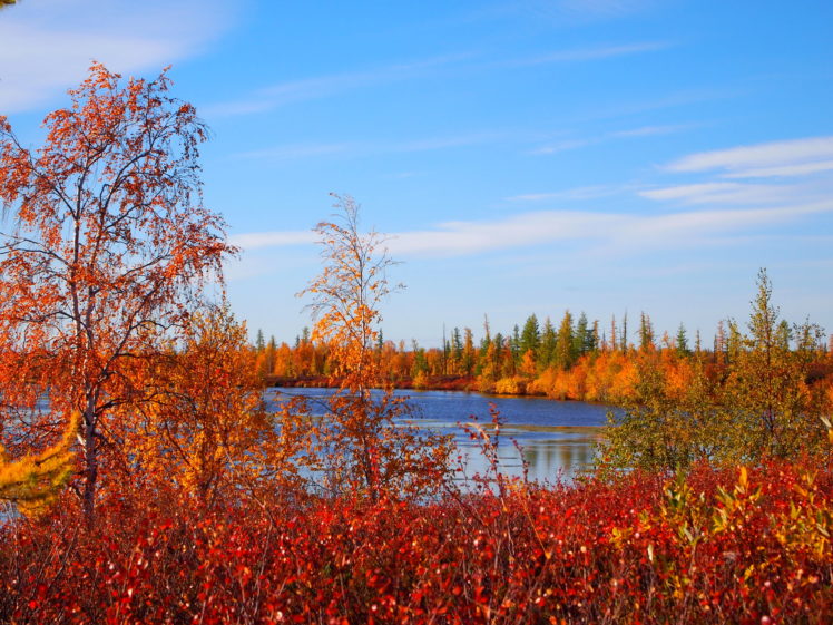 scenery, Russia, Autumn, Nature HD Wallpaper Desktop Background