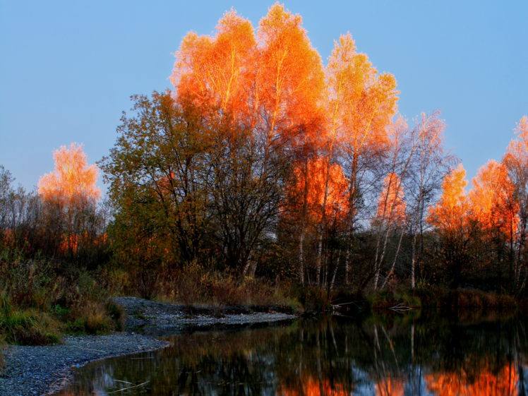 seasons, Autumn, Nature HD Wallpaper Desktop Background