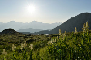 sunlight, Grass, Mountains