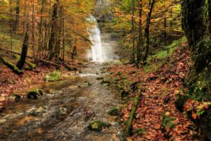 waterfall, River, Fall, Forest, Trees, Nature, Autumn