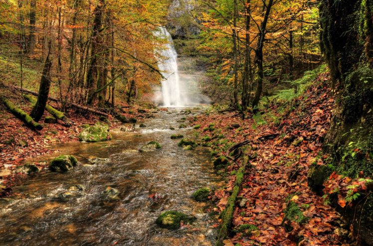 waterfall, River, Fall, Forest, Trees, Nature, Autumn HD Wallpaper Desktop Background