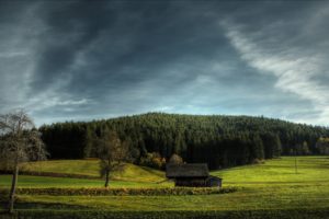 nature, Trees, Houses, Plains, Skyscapes
