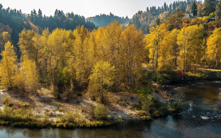 autumn, Forest, Trees, River, Landscape HD Wallpaper Desktop Background