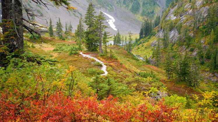 autumn, Mountain, River, Trees, Landscape HD Wallpaper Desktop Background