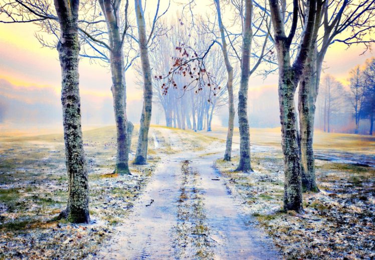 autumn, Road, Trees, Fog, Landscape, Frost HD Wallpaper Desktop Background