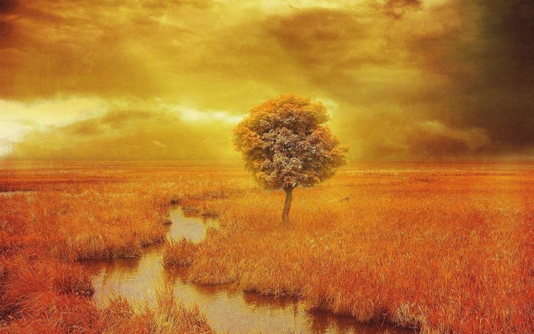 field, Tree, 3d, Art, Autumn HD Wallpaper Desktop Background