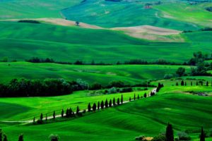 fields, Trees, Italy, Road, Tuscany