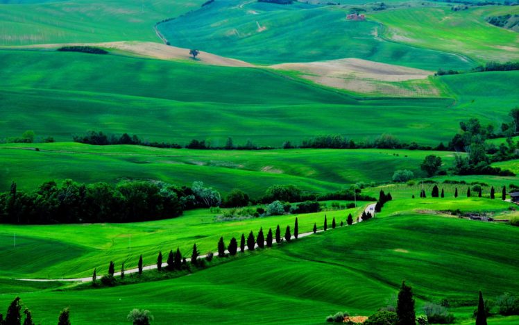fields, Trees, Italy, Road, Tuscany HD Wallpaper Desktop Background