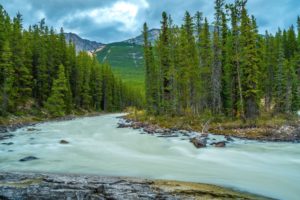 mountain, Forest, River, Trees, Landscape