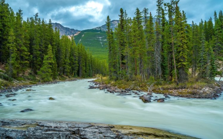 mountain, Forest, River, Trees, Landscape HD Wallpaper Desktop Background