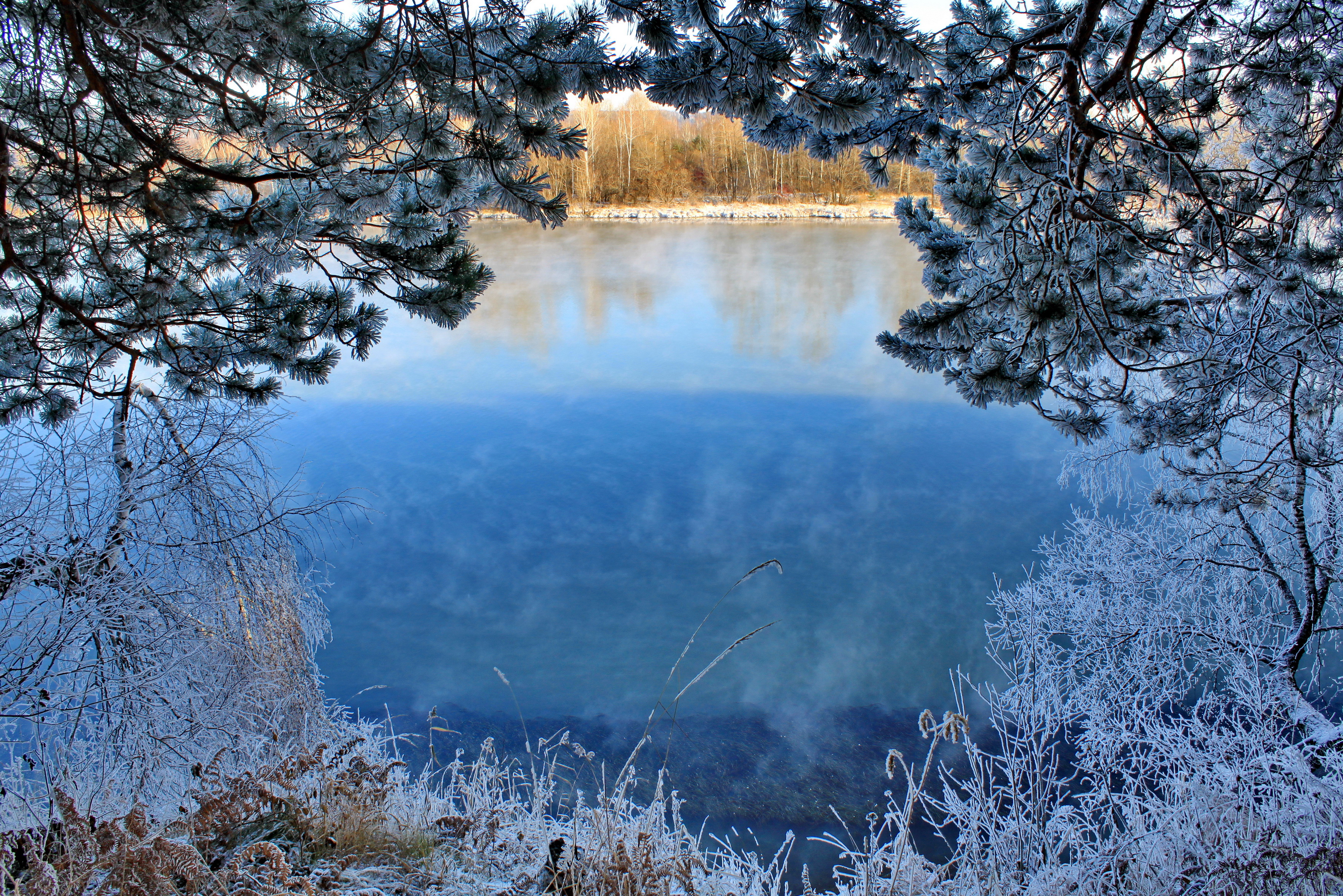 seasons, Winter, Branches, Nature, Lake, Frost, Autumn Wallpaper