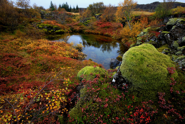 trees, Rocks, Moss, Lake, Autumn HD Wallpaper Desktop Background