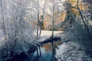 winter, River, Forest, Trees, Landscape
