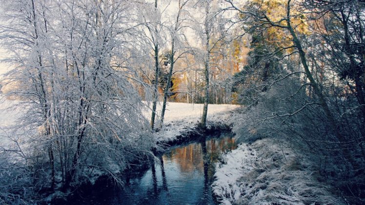 winter, River, Forest, Trees, Landscape HD Wallpaper Desktop Background