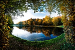 landscapes, Trees, Autumn,  season , Leaves, Pond, Frames, Lakes