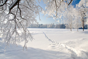 trees, Winter, Ice, Landscape, Nature, Snow