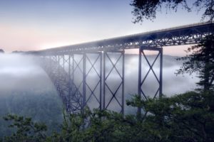 nature, Forest, Fog, Bridges