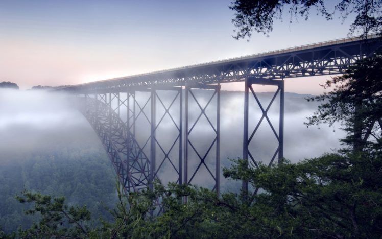 nature, Forest, Fog, Bridges HD Wallpaper Desktop Background