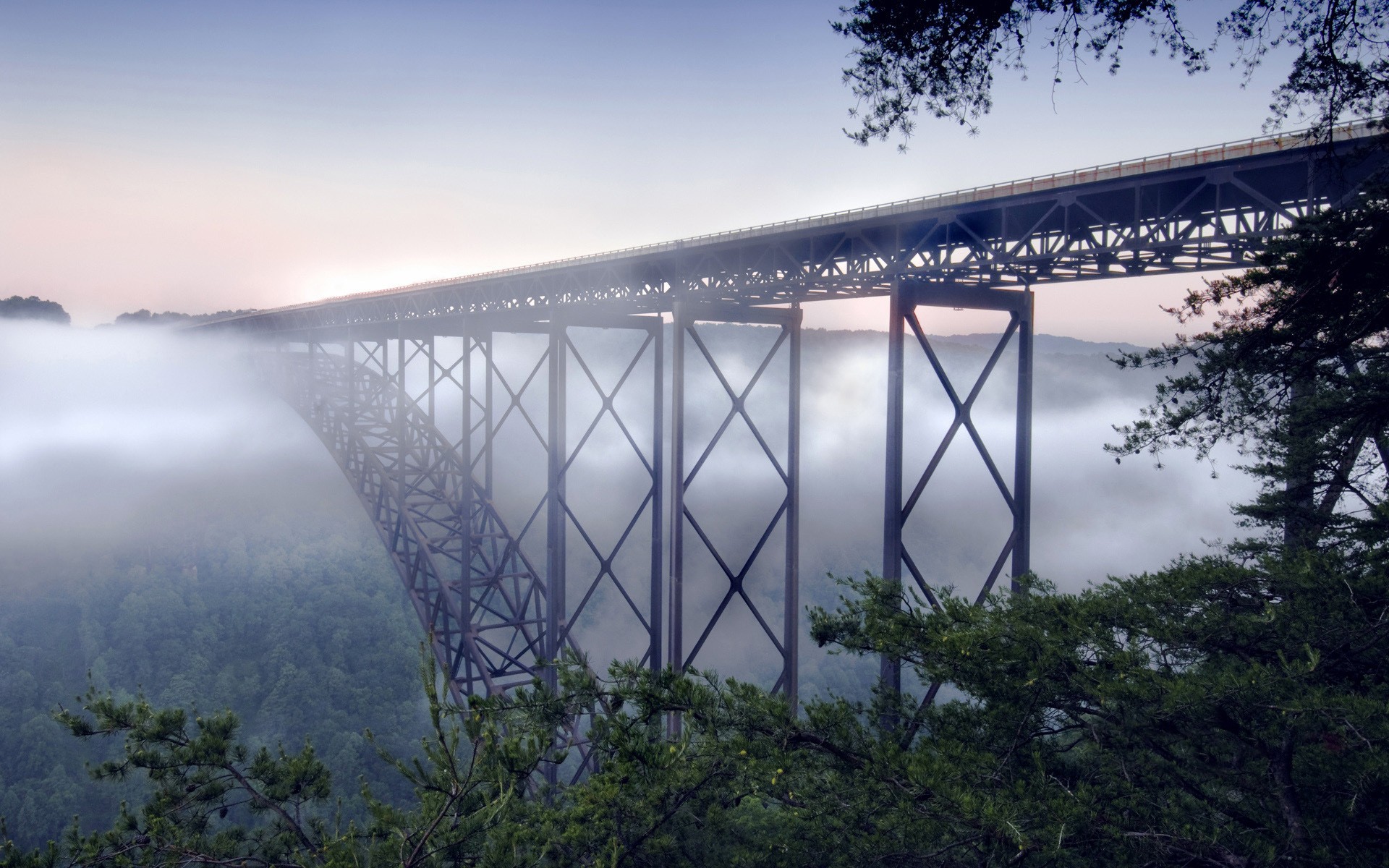 nature, Forest, Fog, Bridges Wallpaper