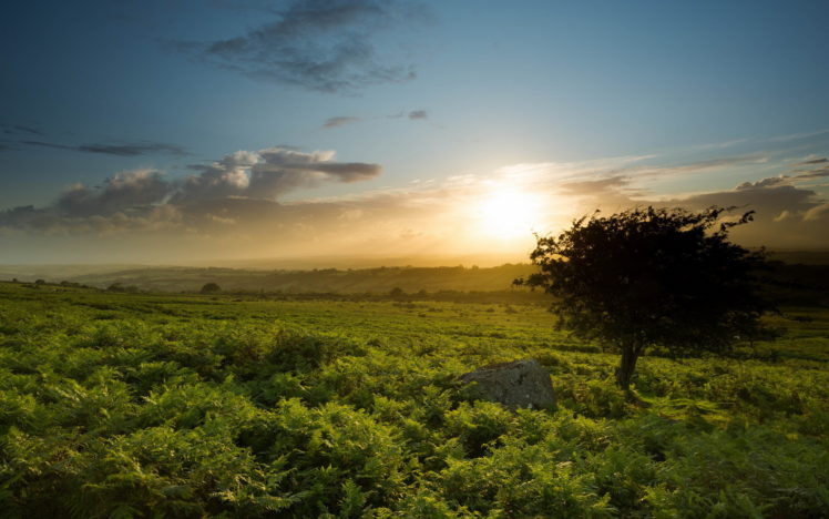 england, Sourton, Sunset, Landscape HD Wallpaper Desktop Background