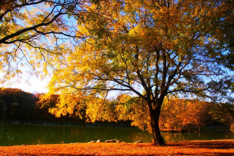 seasons, Autumn, Trees, Nature, Lake HD Wallpaper Desktop Background