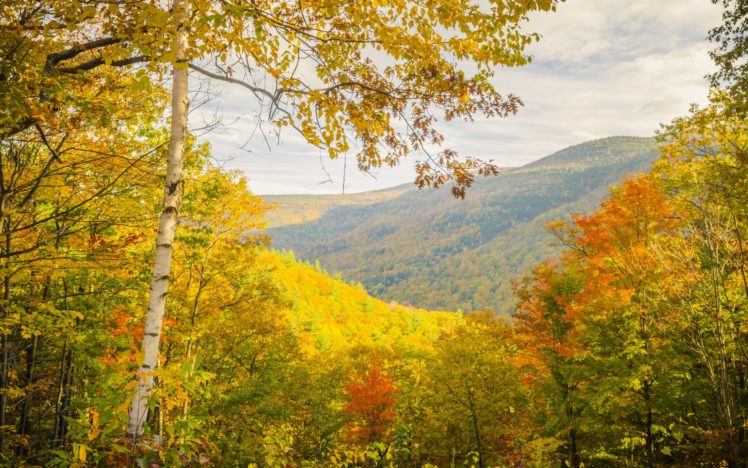 autumn, Trees, Mountains, Landscape HD Wallpaper Desktop Background