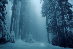 nature, Winter, Snow, Tree, Trees, Trees, Road, Vehicle, Car, Cold, Mood, Forest