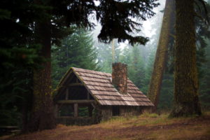 forest, Lodge, Nature, Fog, Mood