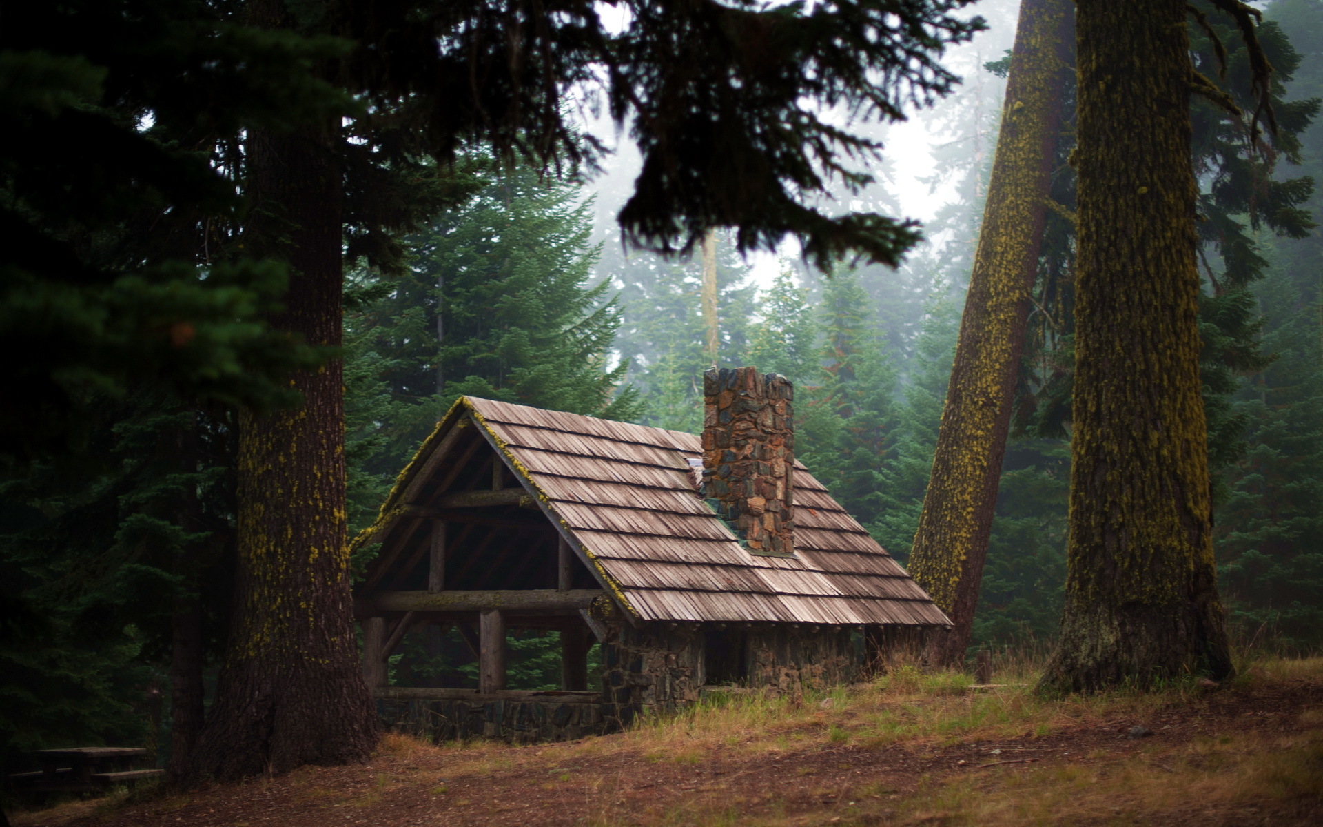 forest, Lodge, Nature, Fog, Mood Wallpaper