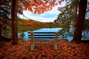 leaves, Trees, Forest, Autumn, Walk, Hdr, Nature, River, Water, Reflection, Sky, Bench, View, Leaves, Trees, Forest, Fall, Walk, Nature, River, Water, Reflection, Sky, Bench, View