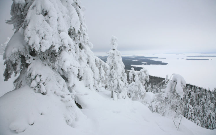 mountains, Forest, Winter HD Wallpaper Desktop Background
