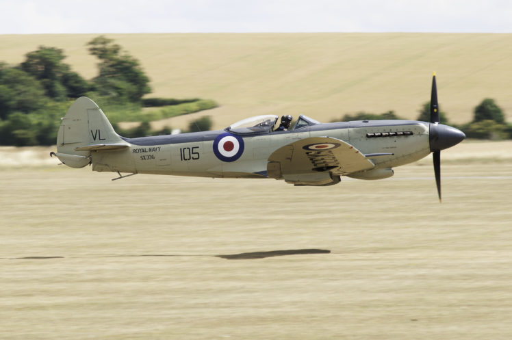 plane, Supermarine, Seafire, F, Xvii, British, Military HD Wallpaper Desktop Background