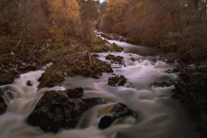 river, Timelapse, Trees, Rocks, Stones, Autumn