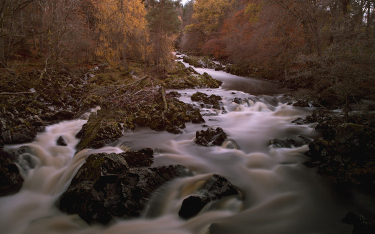 river, Timelapse, Trees, Rocks, Stones, Autumn HD Wallpaper Desktop Background