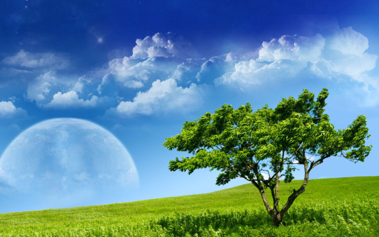 tree, Grass, Sky, Planet, Mood HD Wallpaper Desktop Background