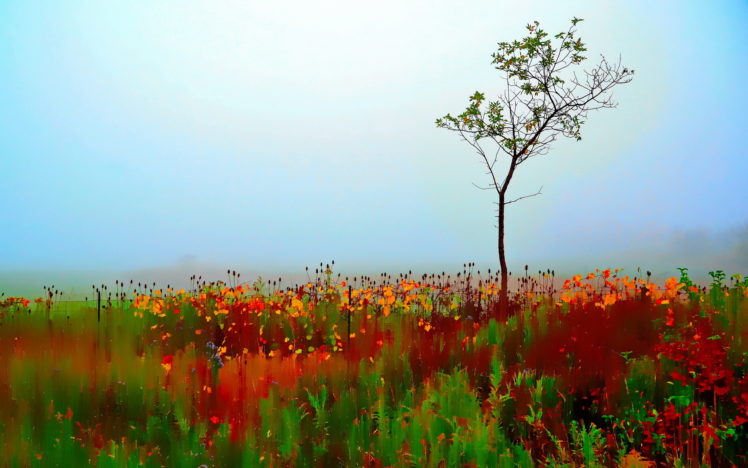 autumn, Blur, Colorful, Single, Tree, Painterly, Selective, Flower HD Wallpaper Desktop Background