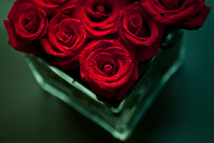 flowers, Bouquet, Roses, Red, Vase, Table HD Wallpaper Desktop Background