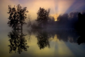 fog, Trees, Lake, Reflection, Morning, Sunrise