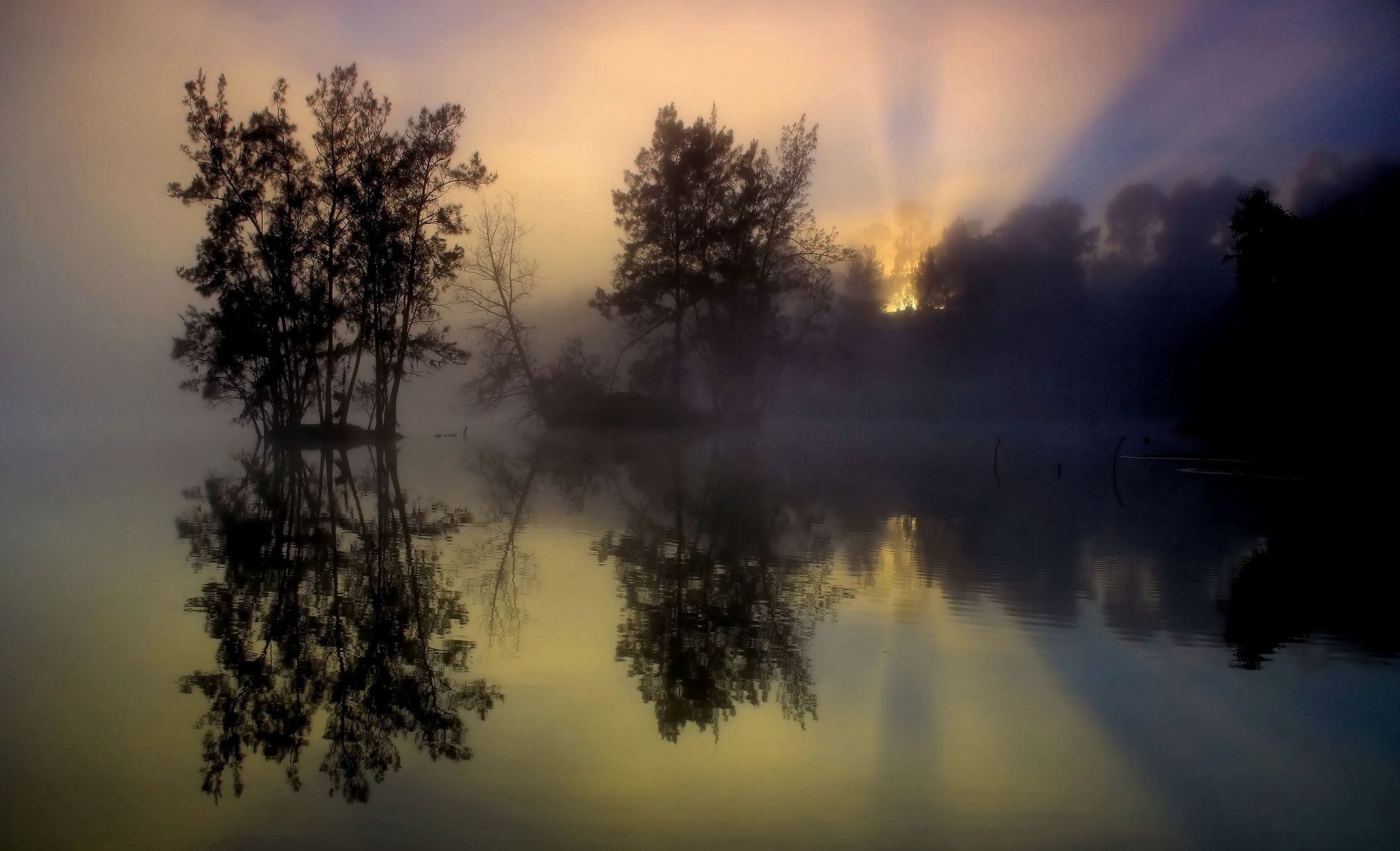 Fog Trees Lake Reflection Morning Sunrise