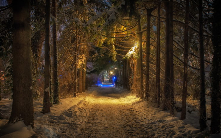 road, Winter, Nature, Snow, Forest HD Wallpaper Desktop Background