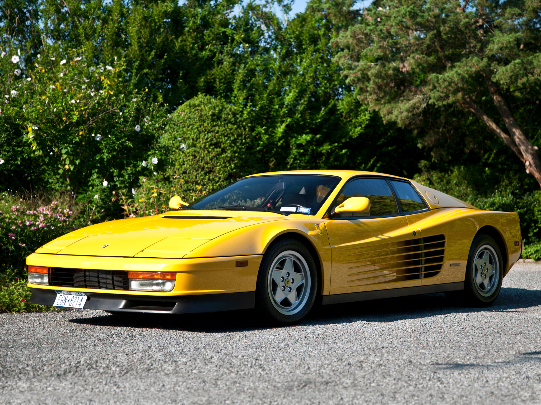 ferrari, Testarossa, Supercar Wallpaper