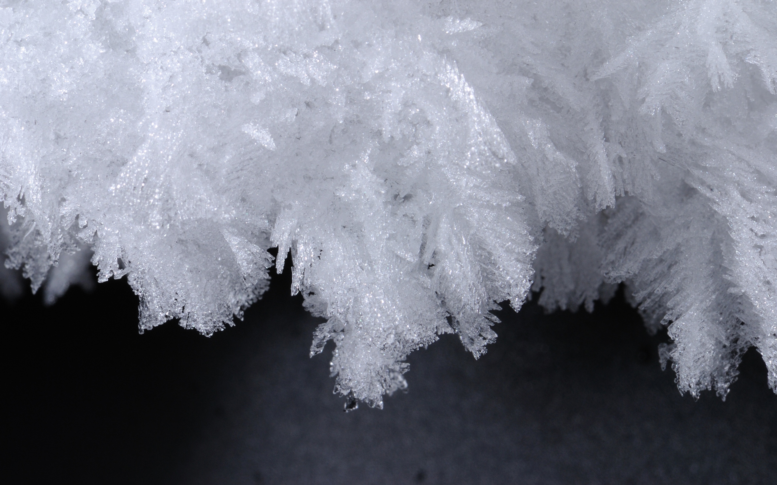 snow Wallpaper
